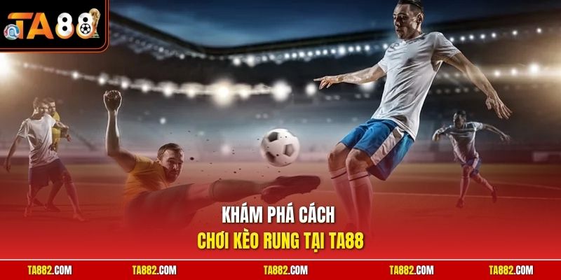 Cách Chơi Kèo Rung | Bí Quyết Bắt Đáy Tỷ Lệ Lời Cực Khủng 1 Khám phá cách chơi kèo rung tại TA88