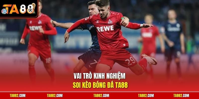 Kinh Nghiệm Soi Kèo Bóng Đá | Mẹo Bắt Cửa Chuẩn Cực Hay 1 Vai trò kinh nghiệm soi kèo bóng đá TA88